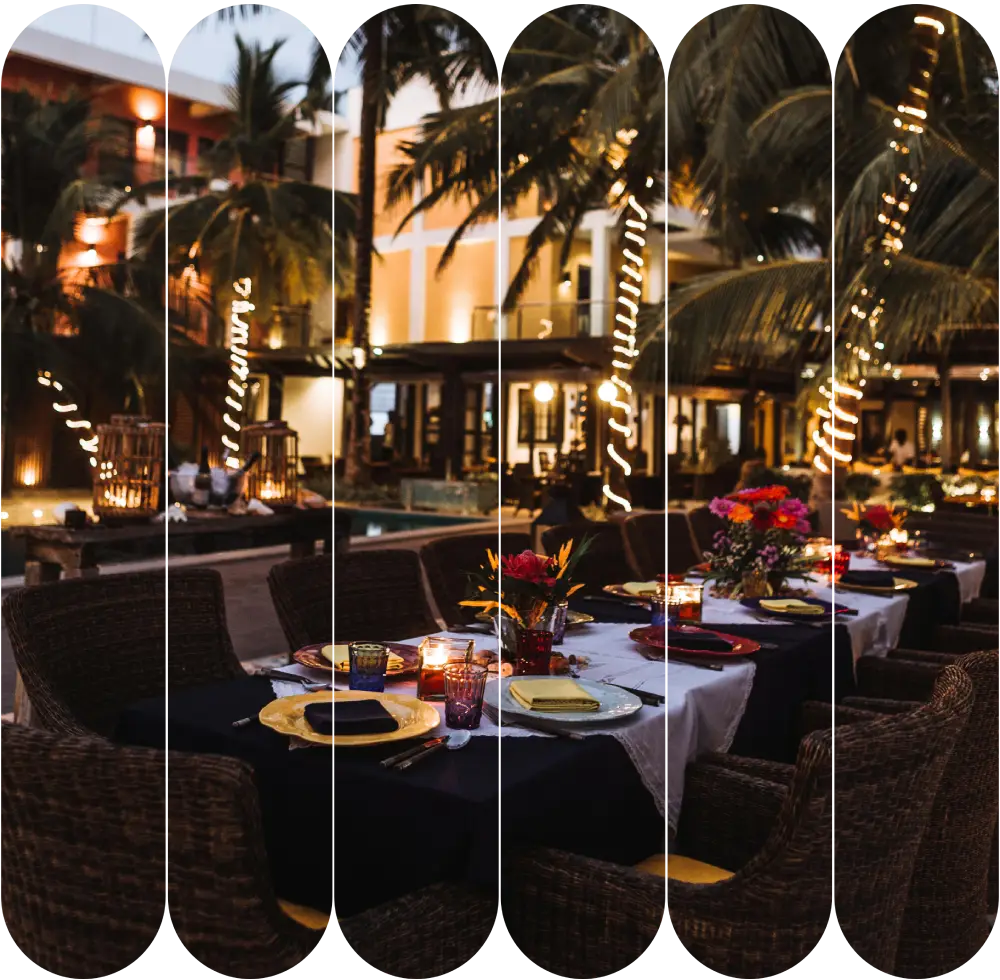 the Best Restaurant and Nightlife Miami